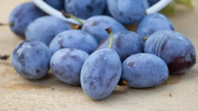 Как убить плесень на деревянном полу