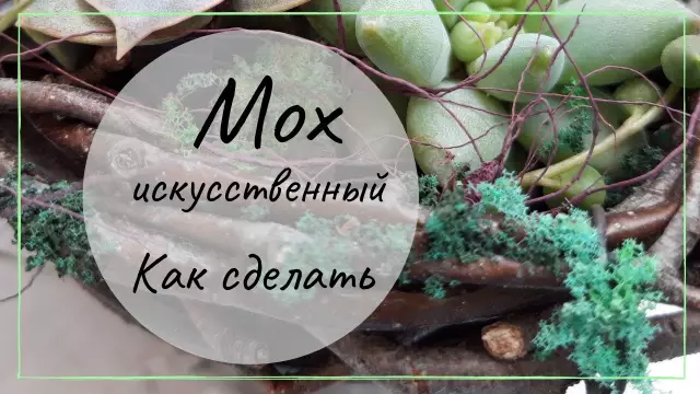 Как сделать мох с йогуртом