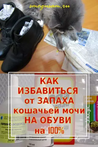 Как удалить мутный запах с холста