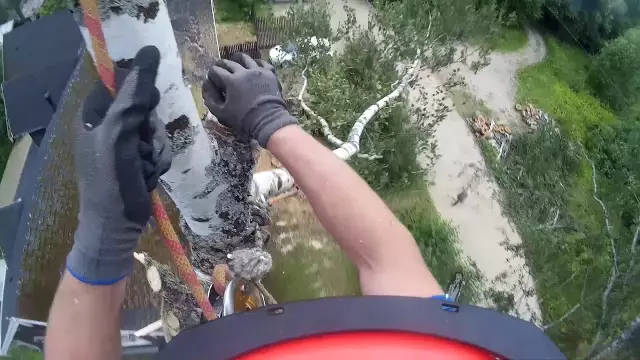 Как удалить кору деревьев