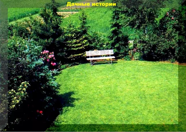 Как оживить старый линолеумный пол