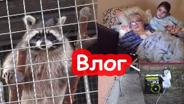 Как звукоизолировать шумный генератор