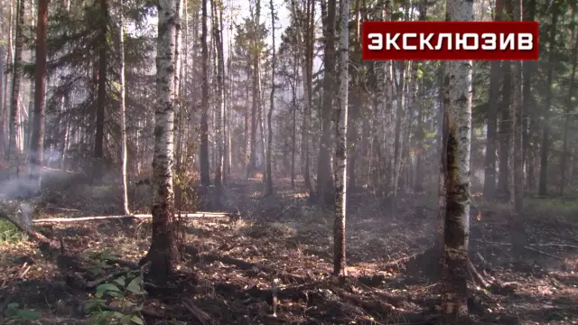 Как остановить огонь от курения
