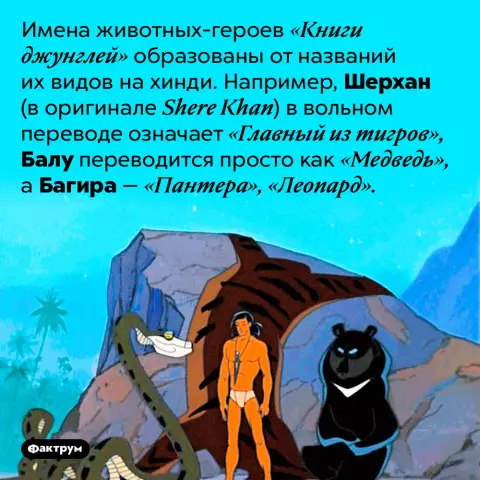 Имена деревьев джунглей