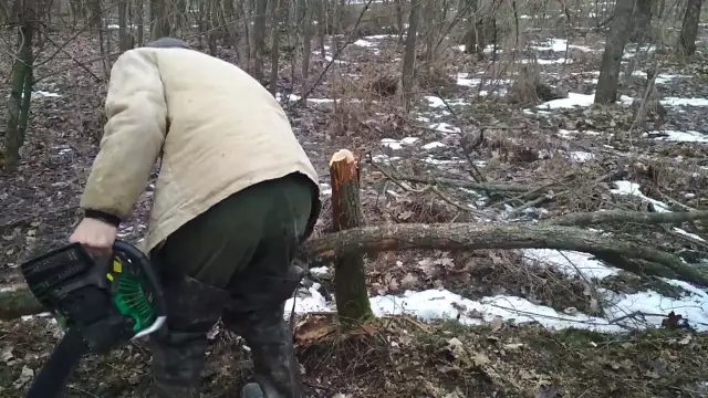 Моя бензопила не получает газа