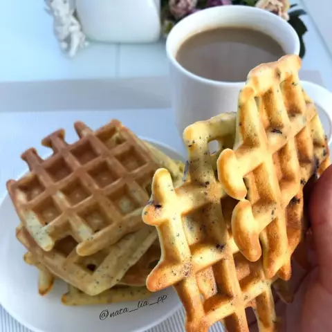 Мои кукурузные растения не растут