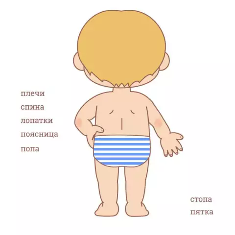 Части розы для детей