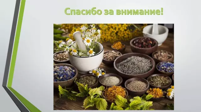 Растения, содержащие никотин