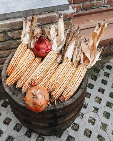 Растения, которые делают большую часть денег