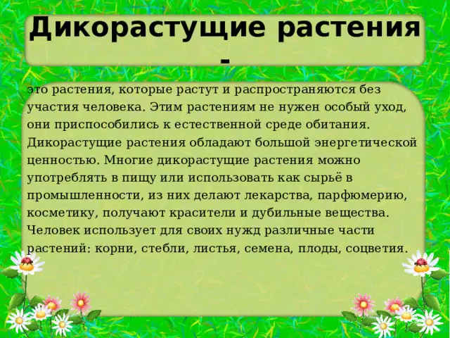 Растения, используемые для создания музыкальных инструментов