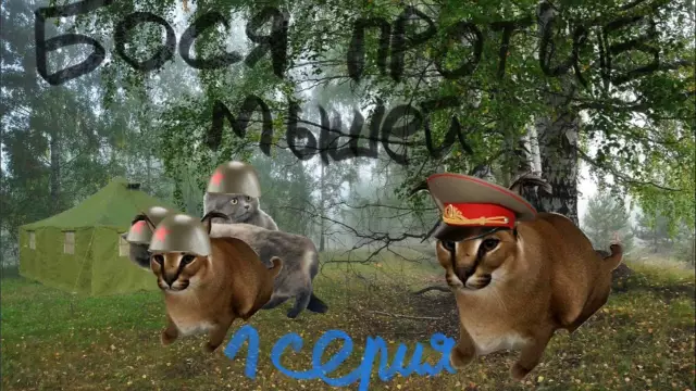 Крысиные пометы против мышей