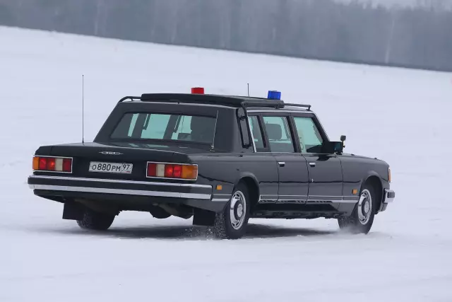 Признаки скорпионов в доме