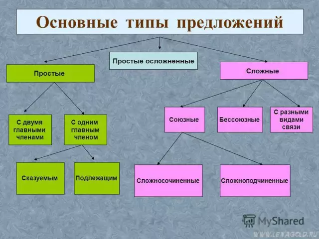 Типы и виды конусных деревьев