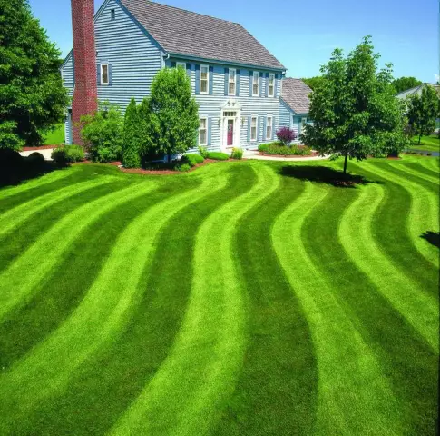 Типы травы Lesco Grass