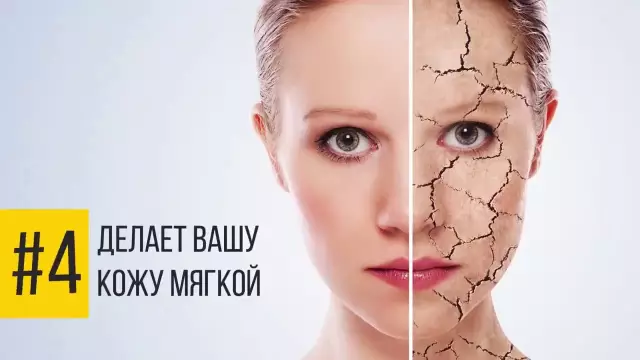 Что происходит, если мы дадим сахарную воду растениям?
