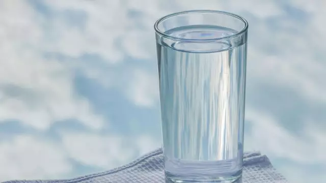 Что происходит, когда растения имеют слишком много воды?