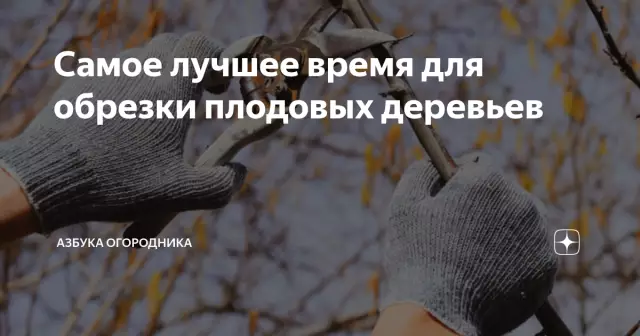 Когда самое лучшее время для распыления фруктовых деревьев и как часто?