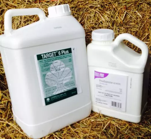 Когда применять MSMA Weed Killer