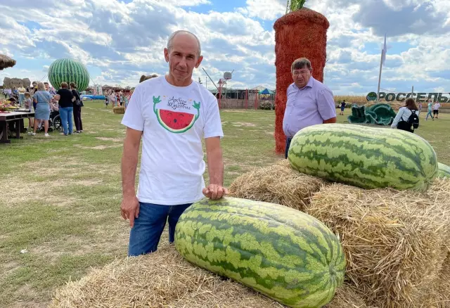 Когда посадить арбуз в Теннесси