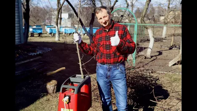 Что является лучшим удобрением для деревьев Пекана?