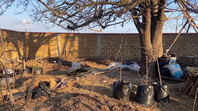 Почему мульча запах?