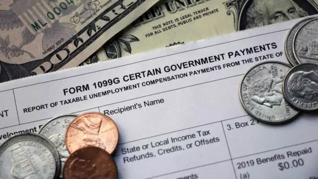 Почему мой кактус сокращается в размерах