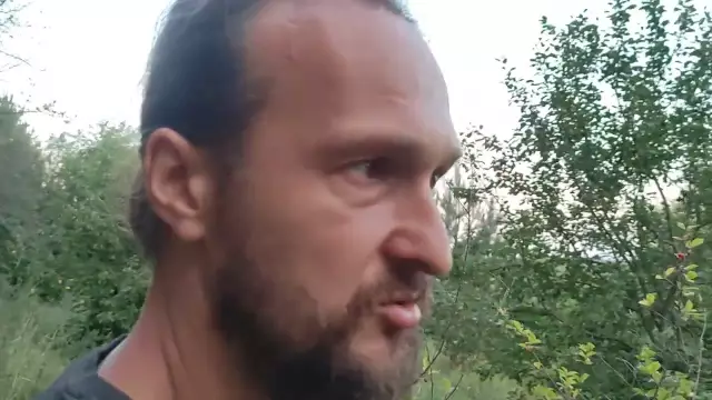 Преимущества геотропизма в корнях