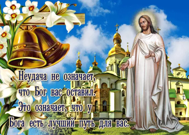 Лучший настил, когда у вас есть собаки