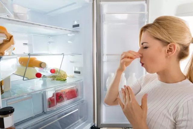 Утомленный запах в холодильнике Frigidaire