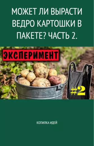 Может ли плесень вырасти в микроволновой печи?