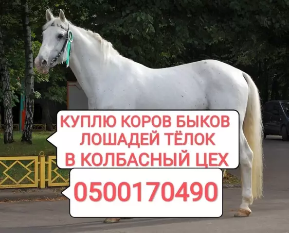 Забитый мусорный утиль с булькающей водой