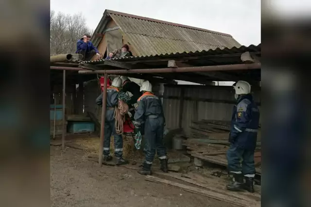 Сколько крыши навеса для металлической крыши?