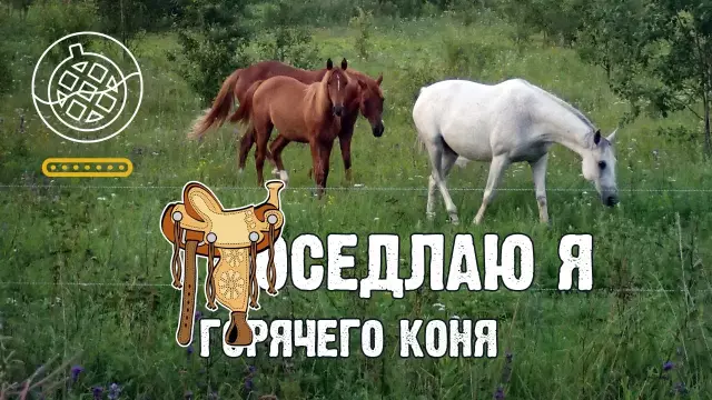 Как построить автономный разделитель для гипсокартона