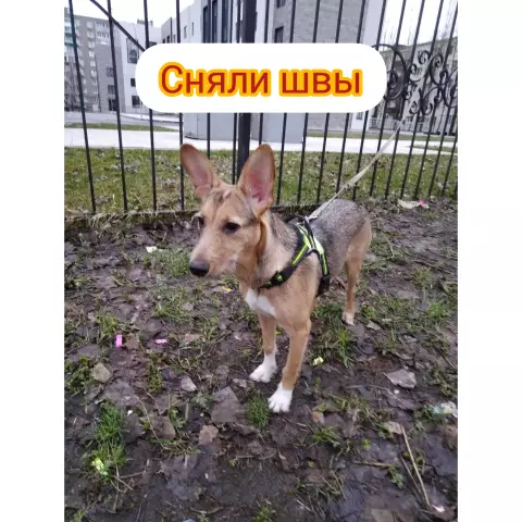 Как устранить швы в мобильных домашних стенах