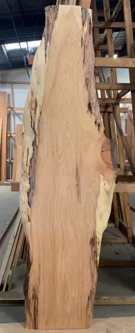 Как закончить Cypress Wood
