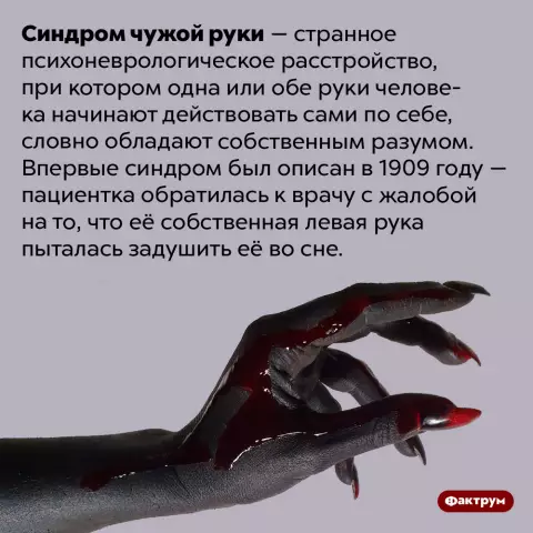 Как заставить вашу кровать перестать скрипеть