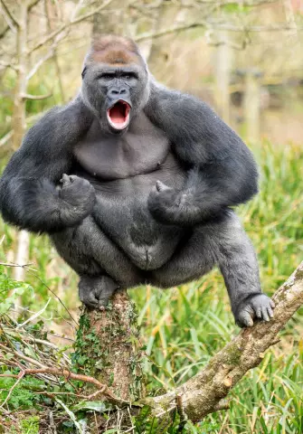 Как удалить клей Gorilla из пластика