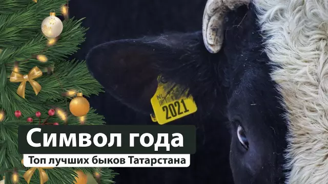 Каков лучший матрас для профилактики язв и давлений?
