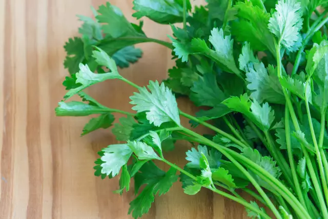Cilantro Vs. Синеголовник пахучий