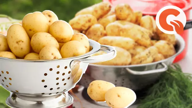 Как использовать дуршлаг для удаления семян хурмы