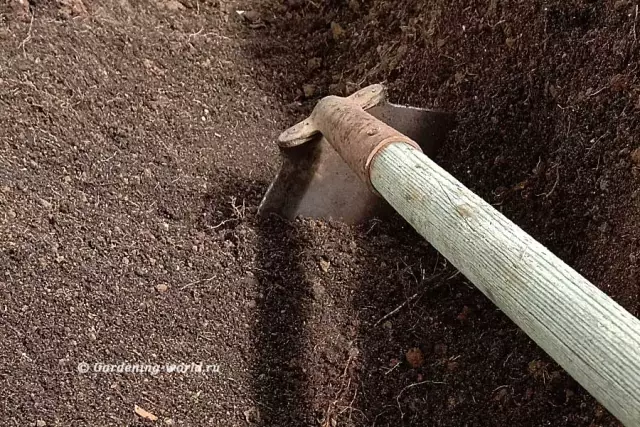 Лучшая почва для овощного сада с поднятой кровлей