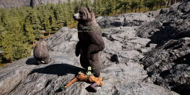 Лучший способ убить фиолетовые сорняки