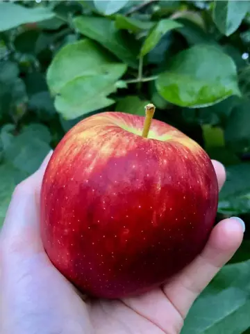 Инструкции по термостату Braeburn