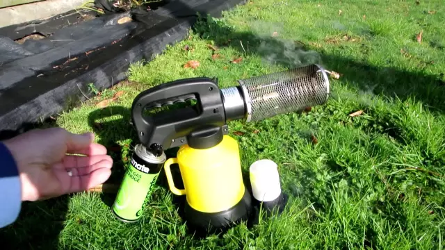 Домашний ошибка Fogger