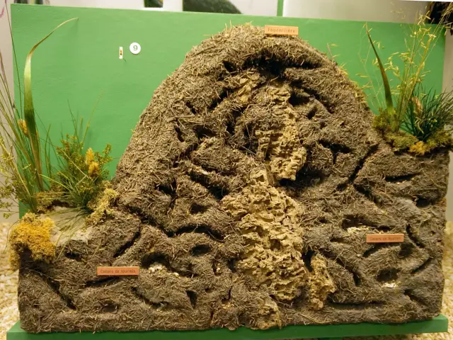 Как уничтожить Ant Colonies естественно
