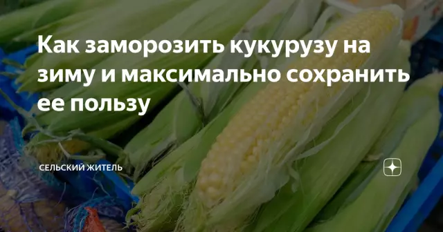 Как заморозить кукурузу на початке в сухарях