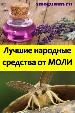 Как избавиться от маленьких летающих насекомых в лужайке
