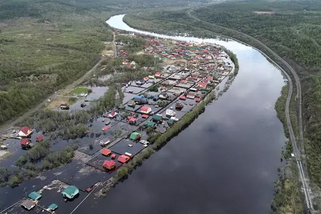 Как определить черви, которые наносят ущерб вашей лужайке