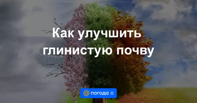 Как улучшить глинистую почву