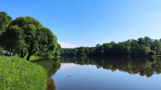 Как сохранить мухи на открытом воздухе